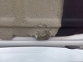 Detailfoto