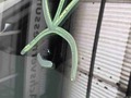 Detailfoto