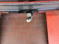 Detailfoto