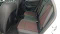 View of rear seat