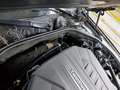 Meer foto's carrosserie