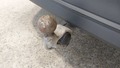 View of trailer tow-bar hitch