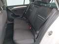 View of rear seat