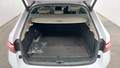 View of boot / luggage space