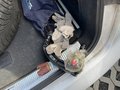 View of trailer tow-bar hitch