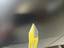 Right mudguard