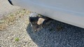 View of trailer tow-bar hitch