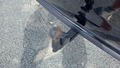 View of trailer tow-bar hitch