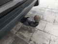 View of trailer tow-bar hitch