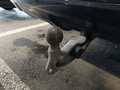 View of trailer tow-bar hitch