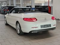 View back left