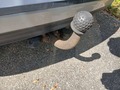 View of trailer tow-bar hitch