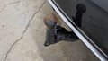 View of trailer tow-bar hitch
