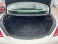 View of boot / luggage space