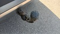 View of trailer tow-bar hitch