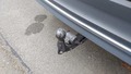 View of trailer tow-bar hitch