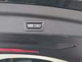 Photo de détail