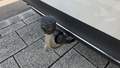View of trailer tow-bar hitch