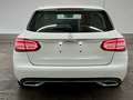 Rear view