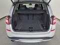 View of boot / luggage space