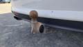 View of trailer tow-bar hitch