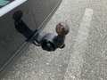 View of trailer tow-bar hitch
