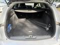 View of boot / luggage space