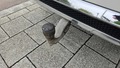 View of trailer tow-bar hitch