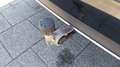 View of trailer tow-bar hitch