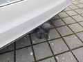 View of trailer tow-bar hitch