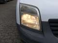 Left view of headlights