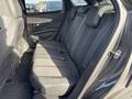 Vista del asiento trasero