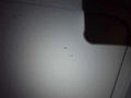 Dodatne slike karoserije