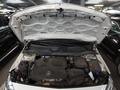 View of engine compartment