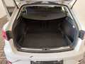 View of boot / luggage space