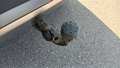 View of trailer tow-bar hitch