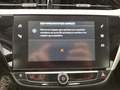 Üksikasjalik foto