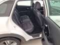 Täiendav pilt