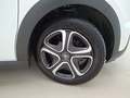Üksikasjalik foto