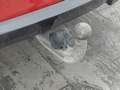 View of trailer tow-bar hitch