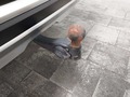 View of trailer tow-bar hitch