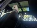 View of sunroof / panoramic roof
