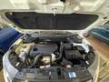 Vue du compartiment moteur