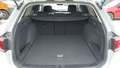 View of boot / luggage space