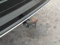 View of trailer tow-bar hitch