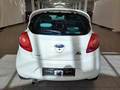 Rear view