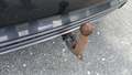 View of trailer tow-bar hitch