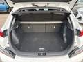 View of boot / luggage space