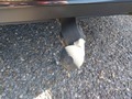 View of trailer tow-bar hitch