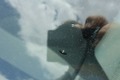Üksikasjalik foto